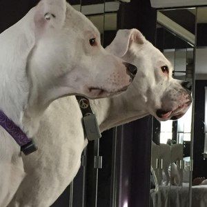 Meet your Posher, Scott